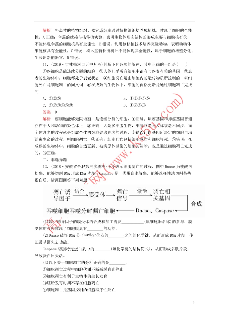 2020年高考生物一轮复习第4单元 细胞的生命历程 第13讲 细胞的分化、衰老、凋亡及癌变课后作业（含解析）（必修1）_第4页