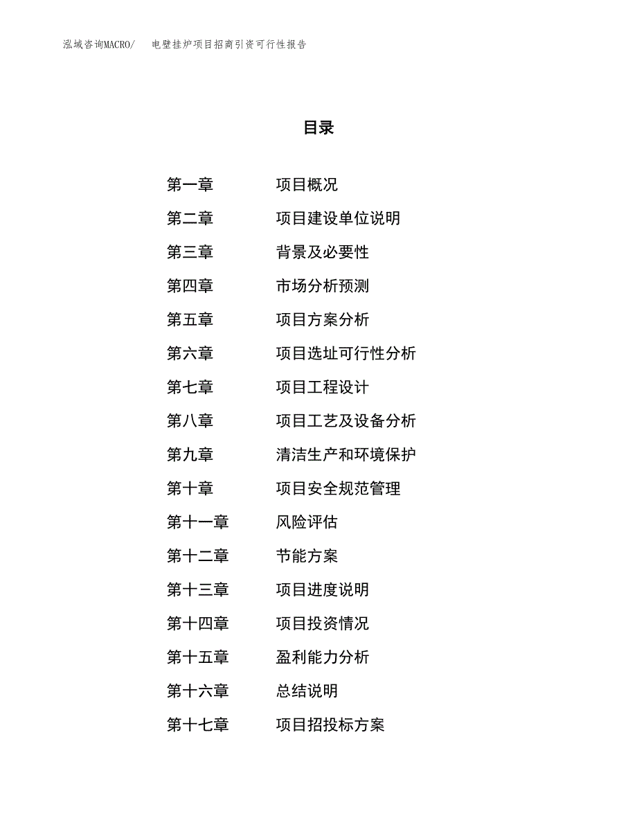 电壁挂炉项目招商引资可行性报告.docx_第1页