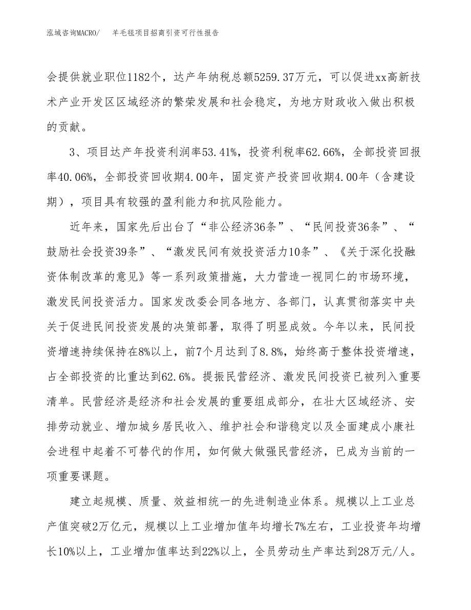 羊毛毯项目招商引资可行性报告.docx_第5页