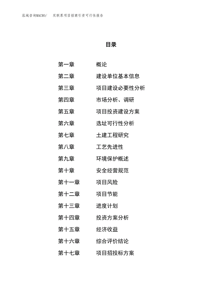 双联泵项目招商引资可行性报告.docx_第1页