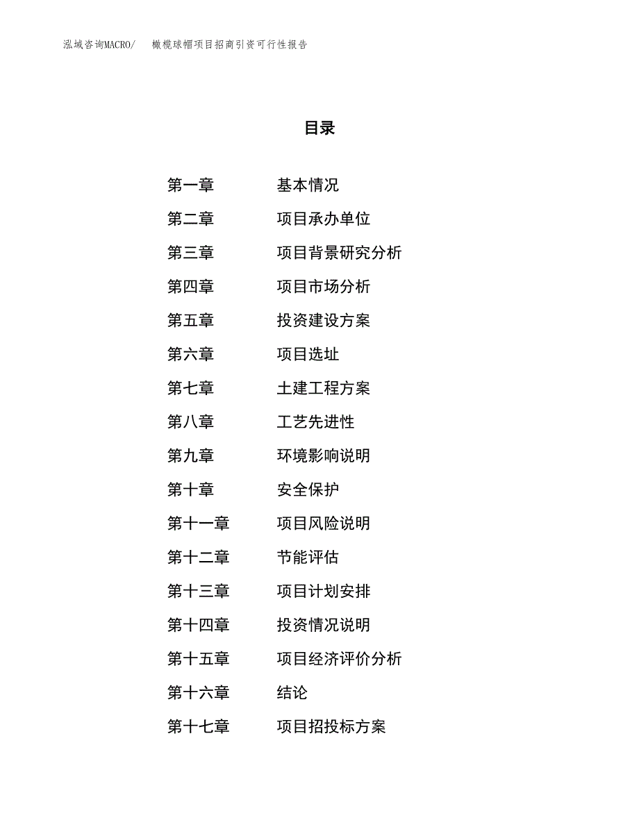 橄榄球帽项目招商引资可行性报告.docx_第1页