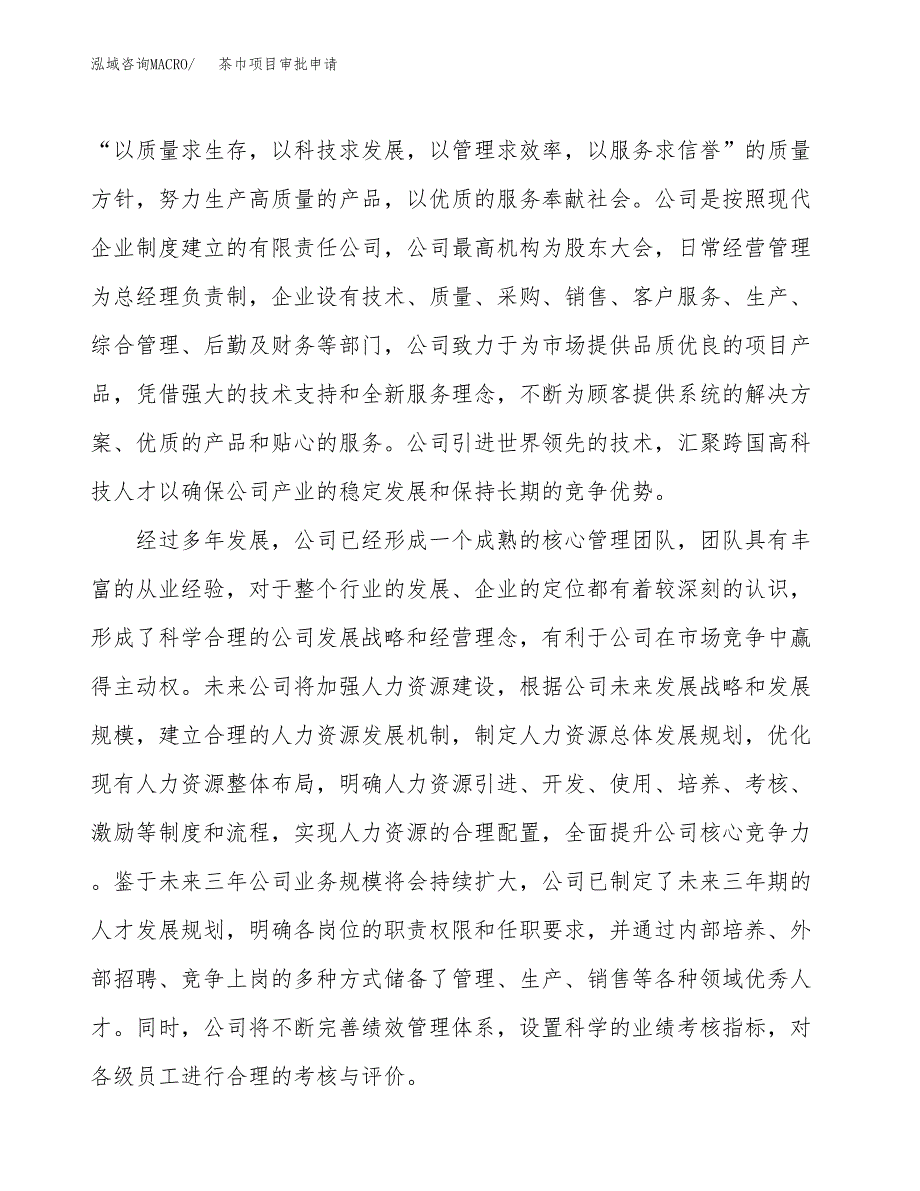 茶巾项目审批申请（总投资6000万元）.docx_第2页