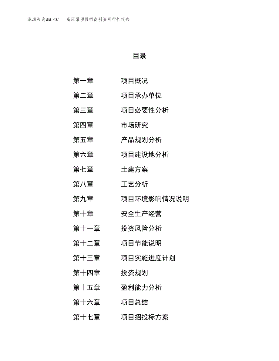 高压泵项目招商引资可行性报告.docx_第1页