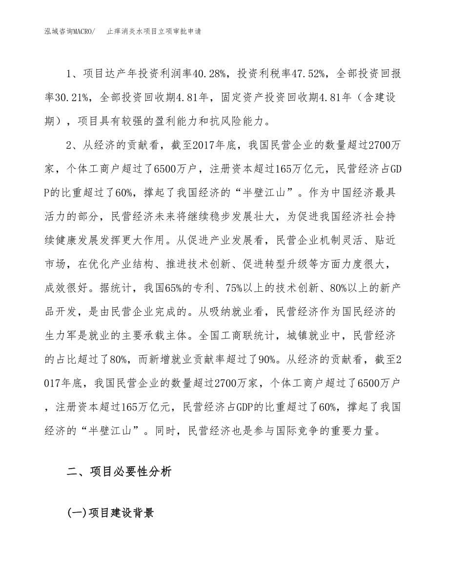 止痒消炎水项目立项审批申请.docx_第5页