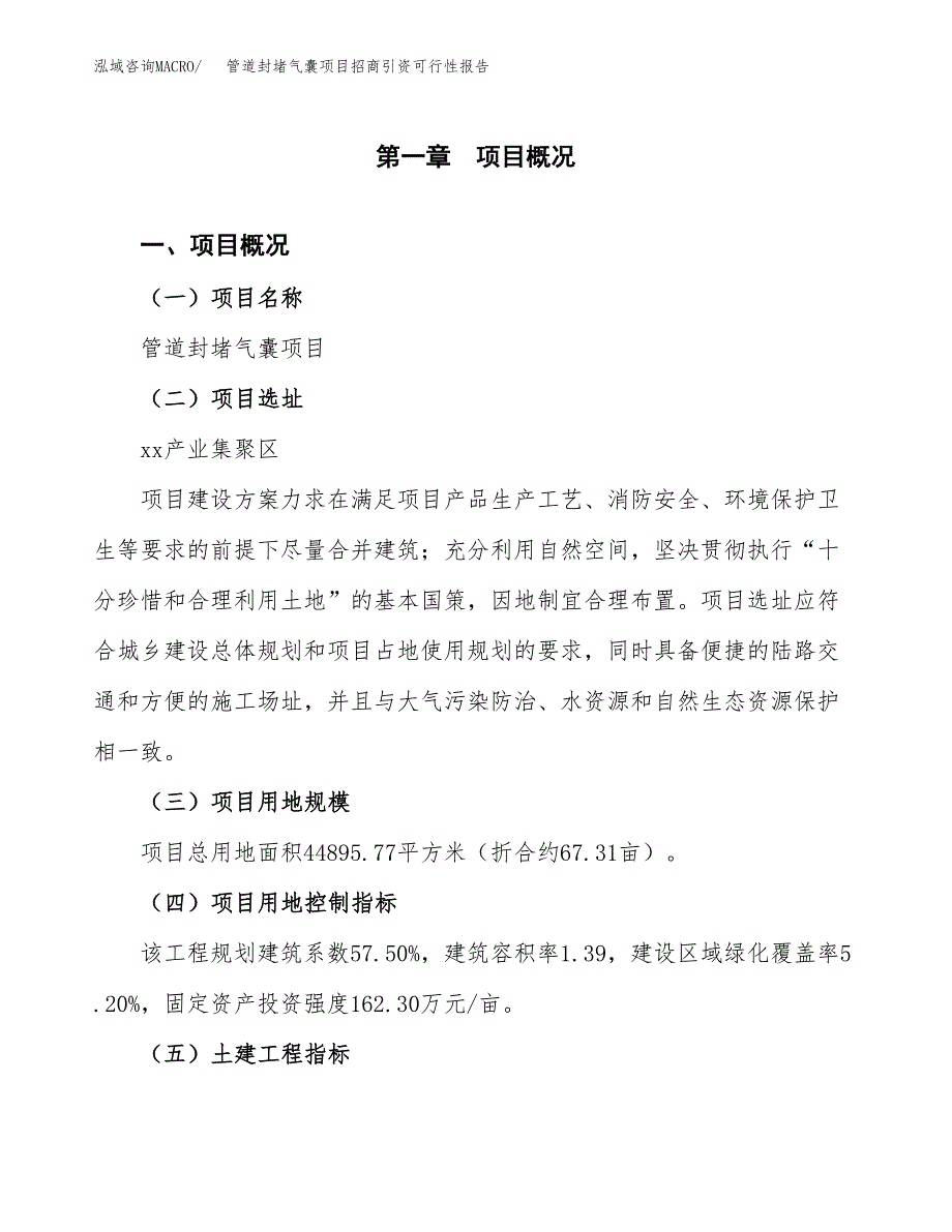 管道封堵气囊项目招商引资可行性报告.docx_第2页