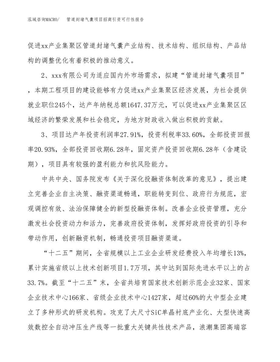 管道封堵气囊项目招商引资可行性报告.docx_第5页