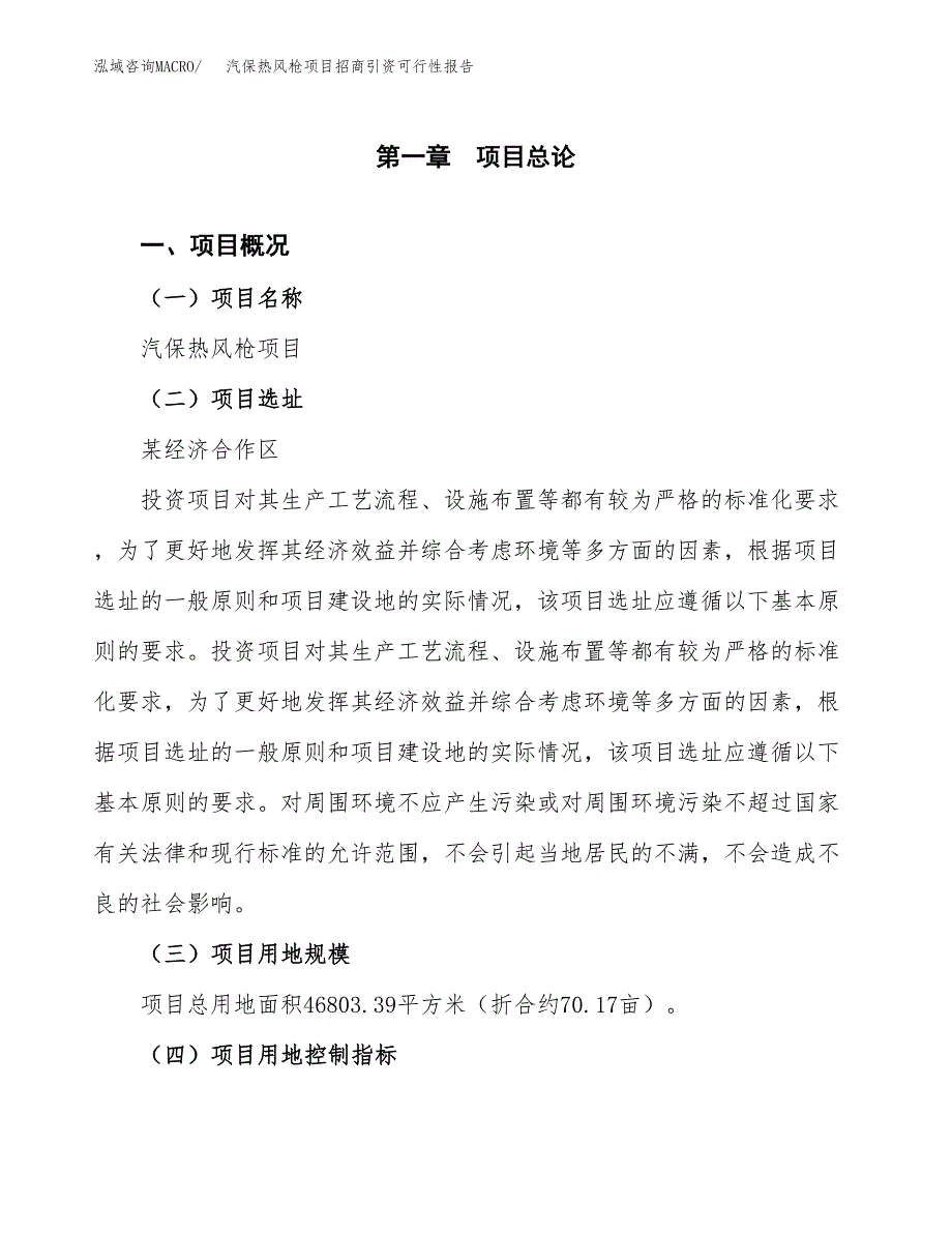 汽保热风枪项目招商引资可行性报告.docx_第2页