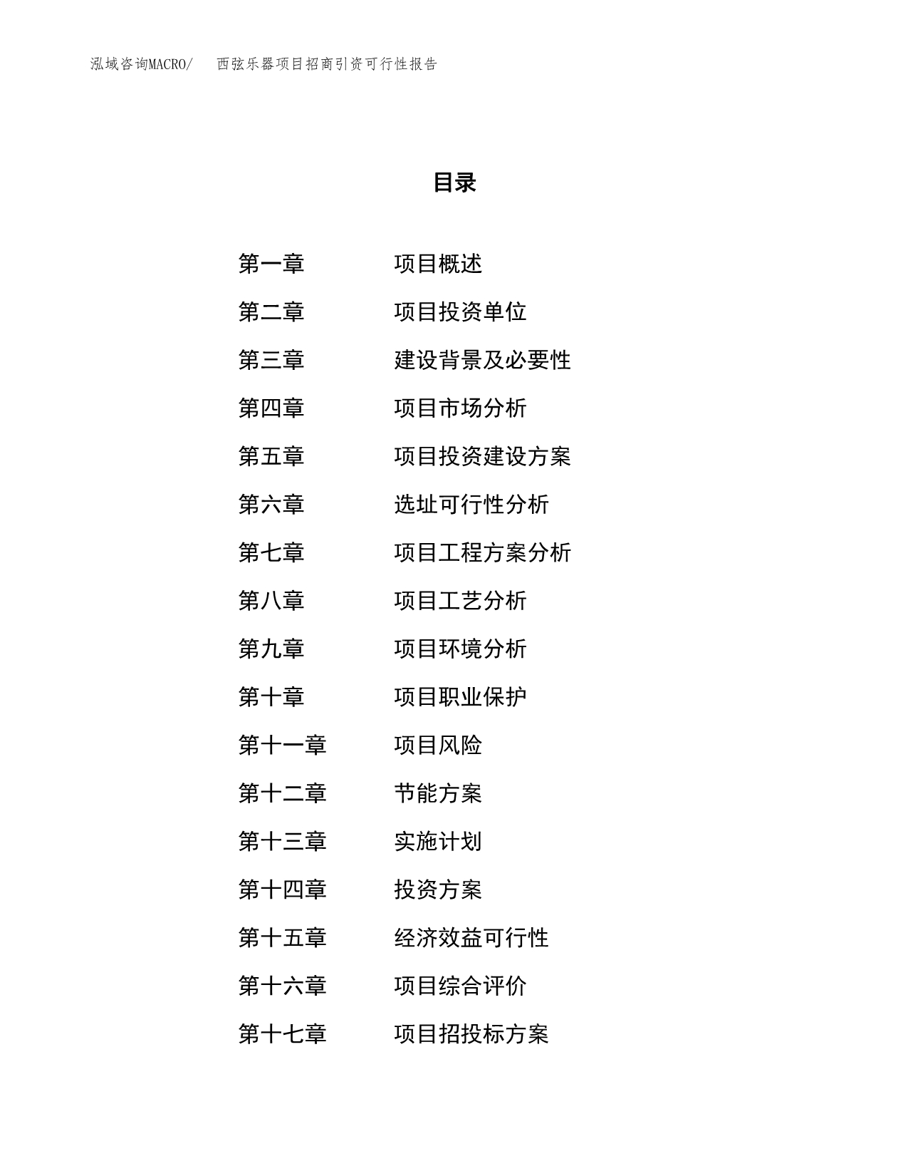 西弦乐器项目招商引资可行性报告.docx_第1页