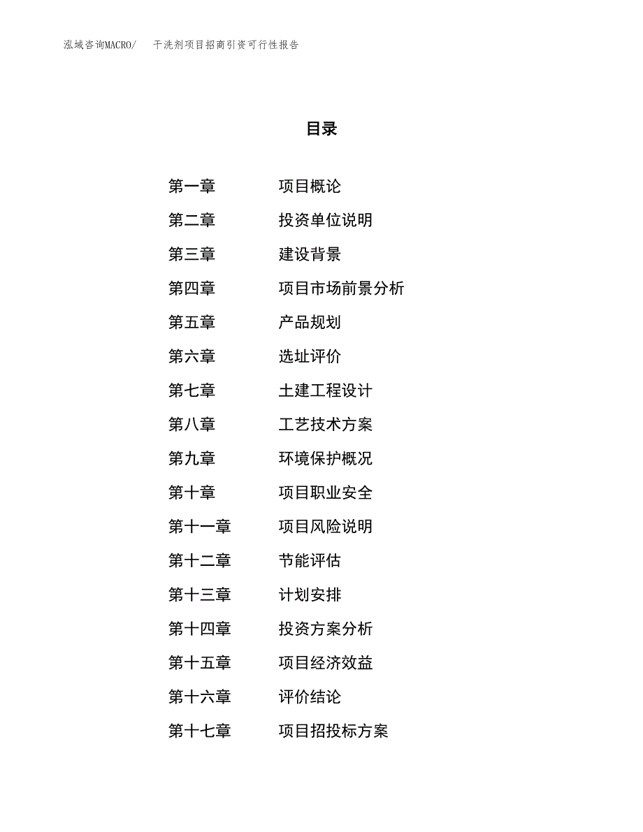 干洗剂项目招商引资可行性报告.docx_第1页