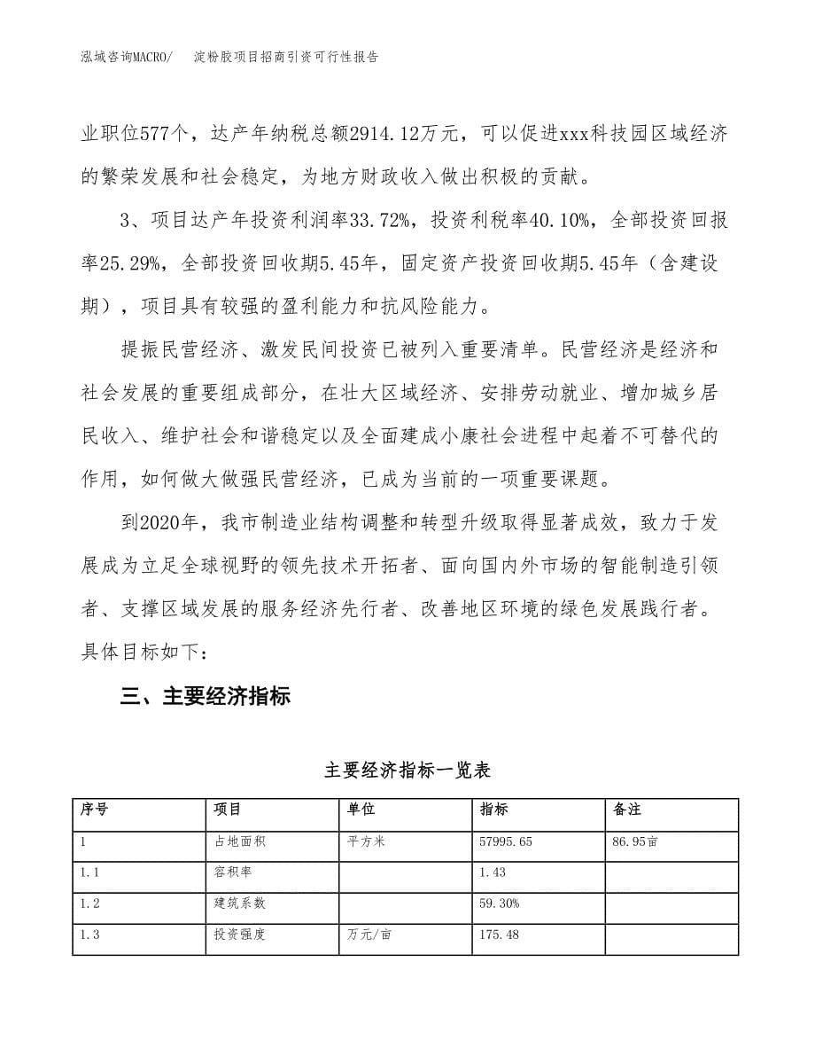 淀粉胶项目招商引资可行性报告.docx_第5页