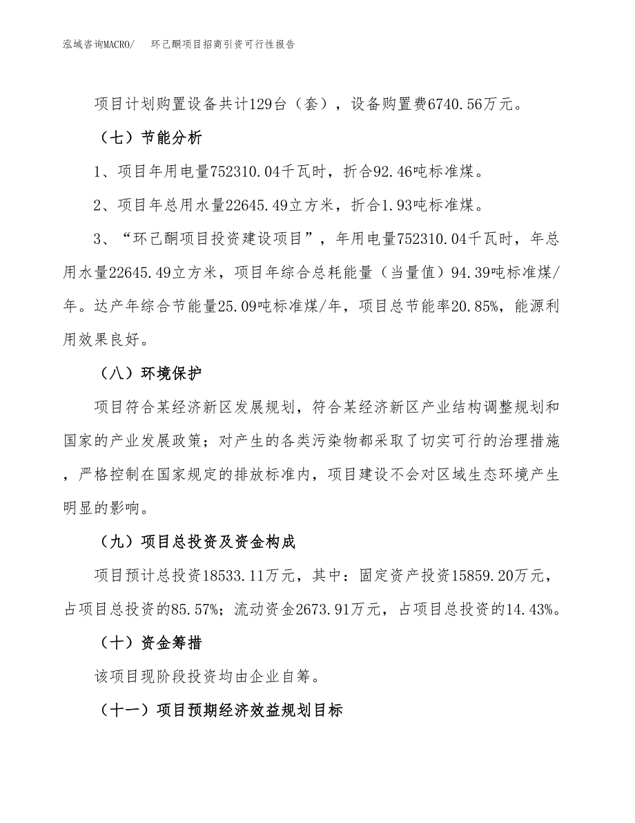 环己酮项目招商引资可行性报告.docx_第3页