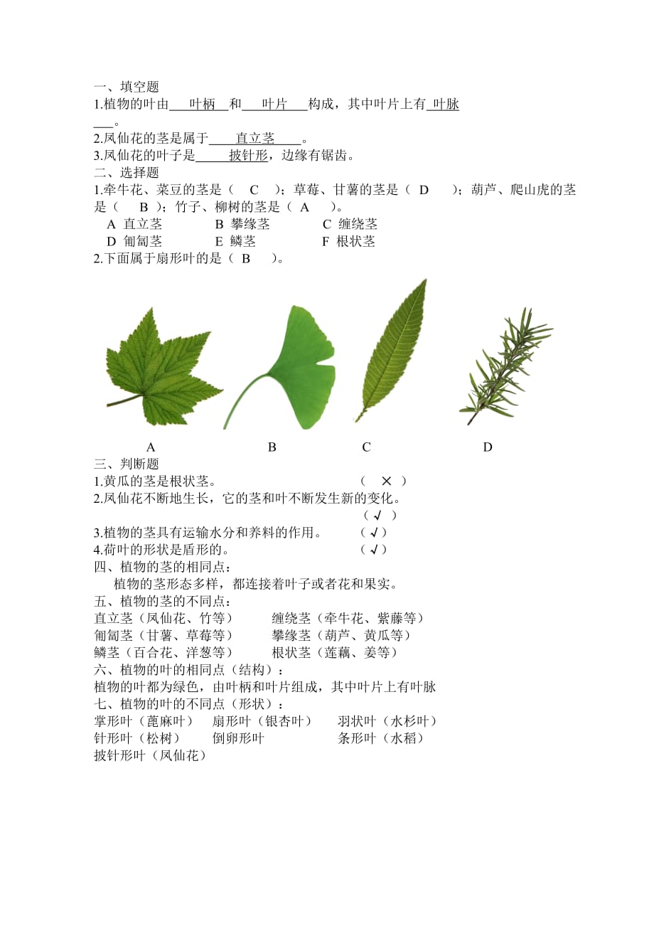 三年级下册科学试题-1.2茎叶的生长丨鄂教版 (含答案)_第1页