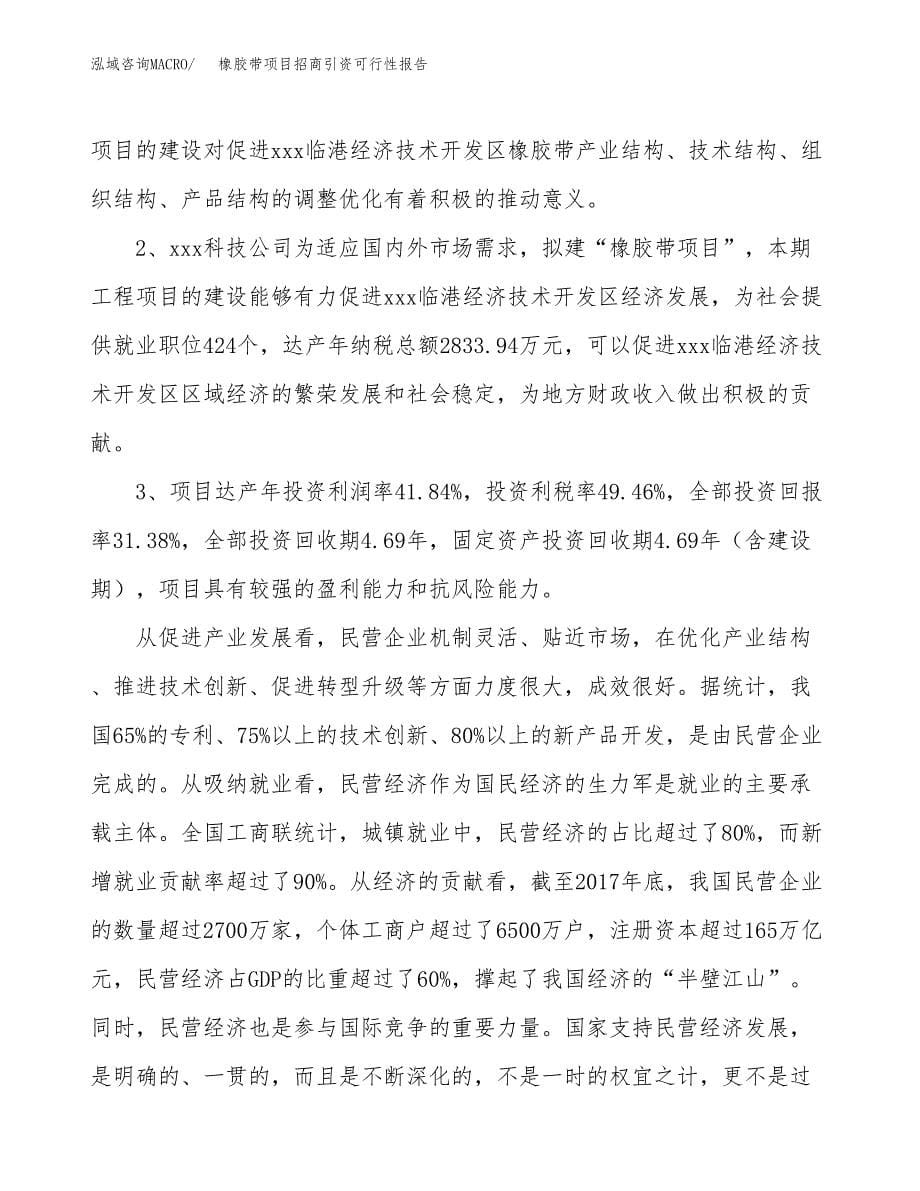 橡胶带项目招商引资可行性报告.docx_第5页