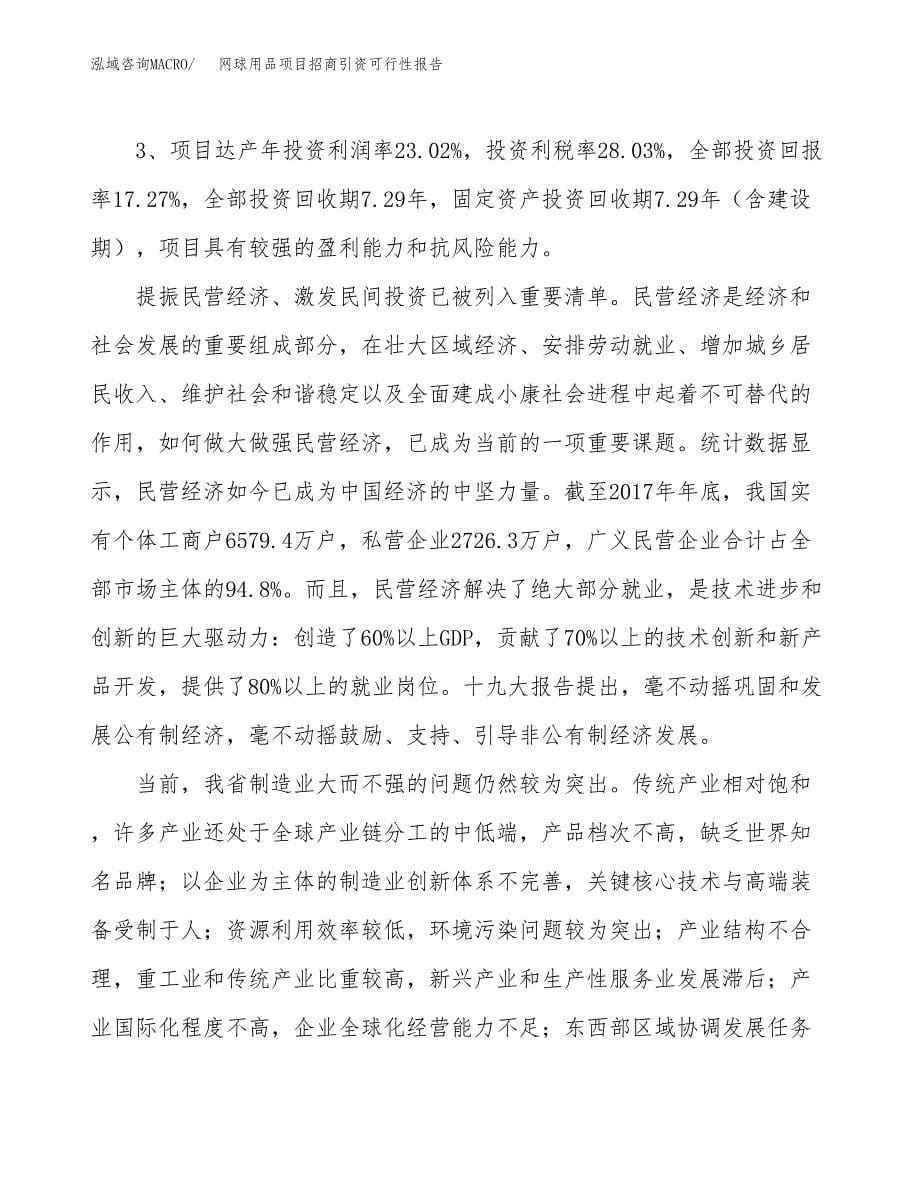 网球用品项目招商引资可行性报告.docx_第5页