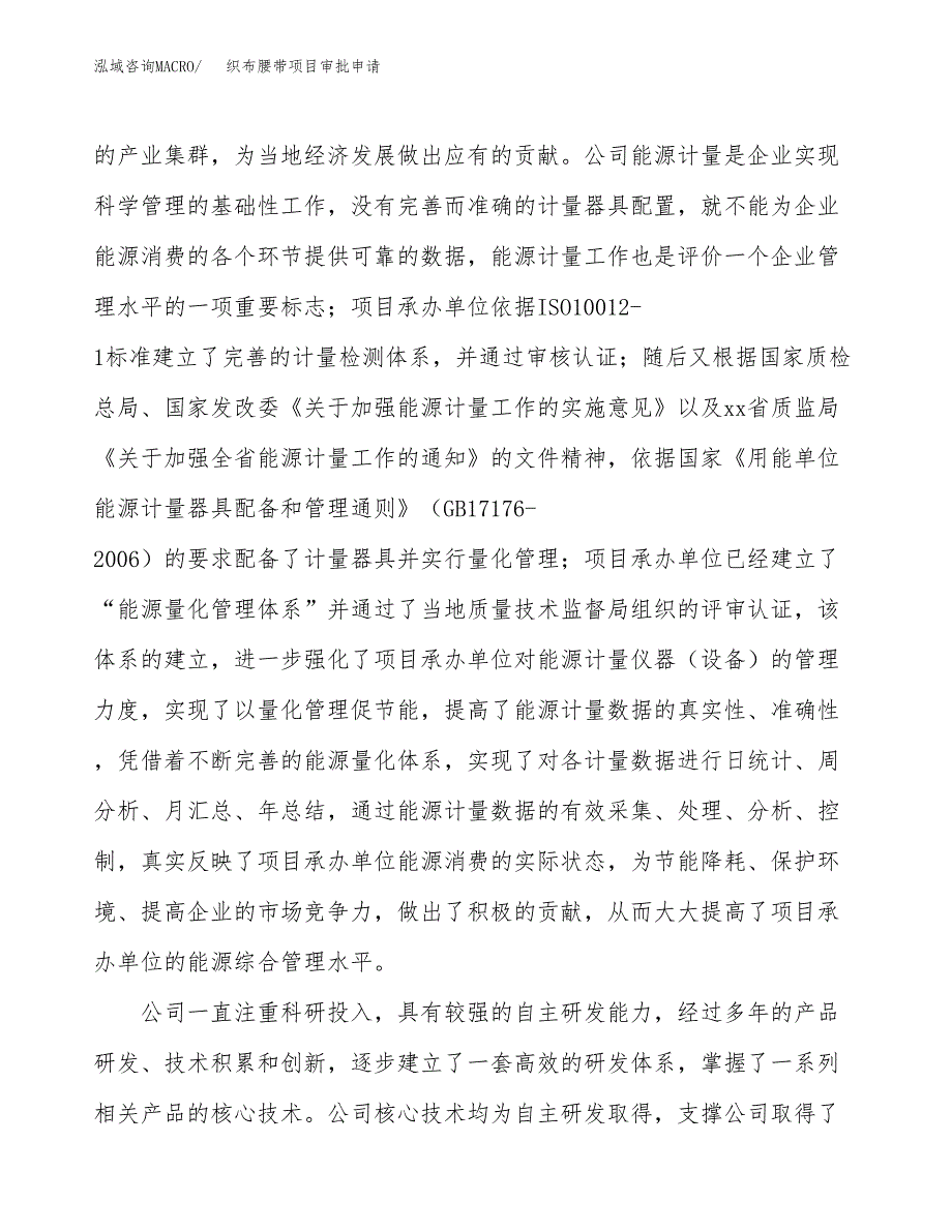 织布腰带项目审批申请（总投资4000万元）.docx_第2页