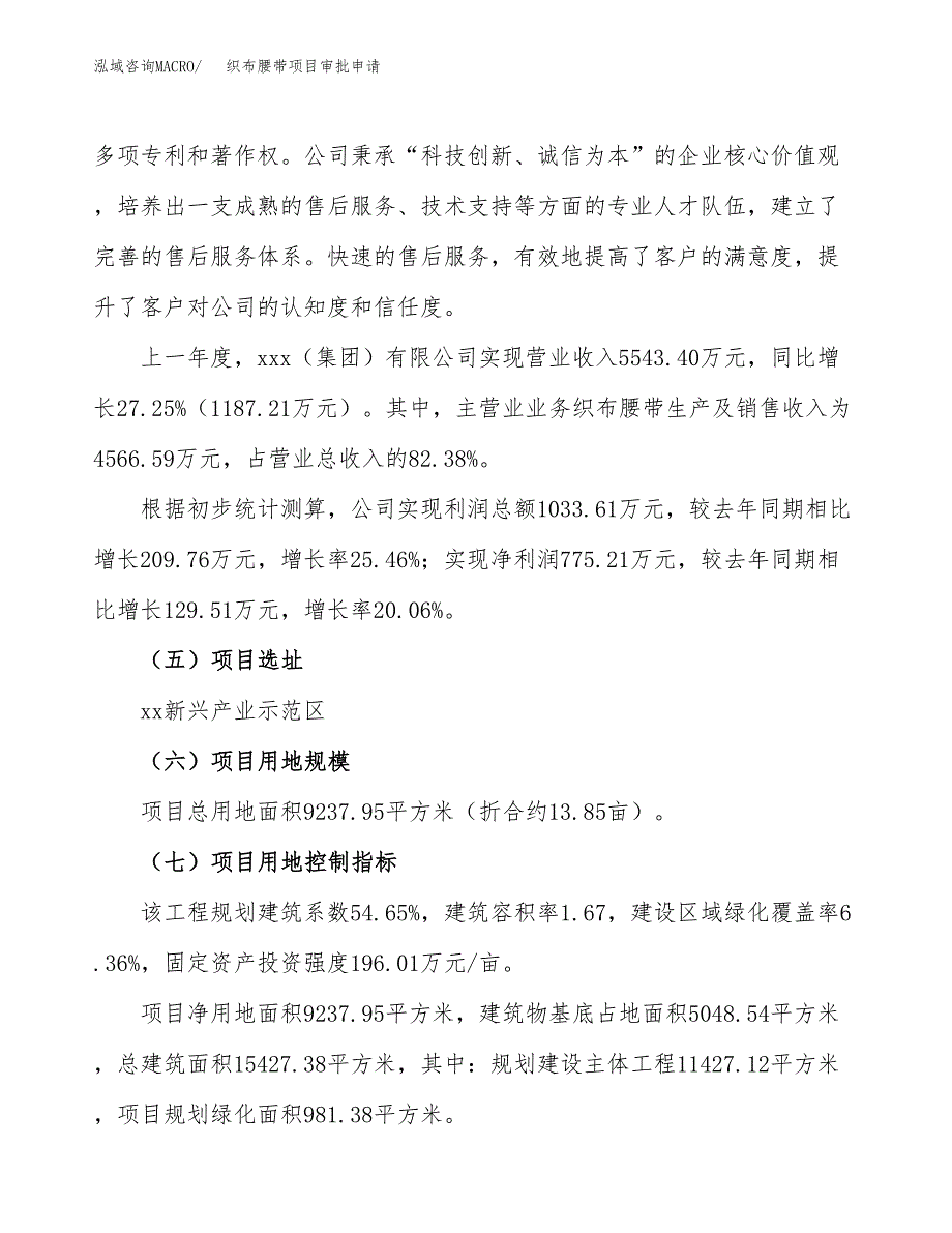 织布腰带项目审批申请（总投资4000万元）.docx_第3页