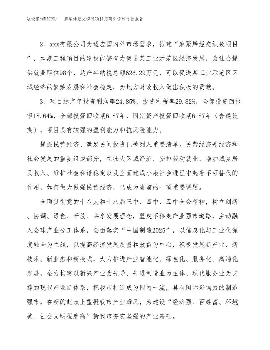 麻聚烯烃交织袋项目招商引资可行性报告.docx_第5页