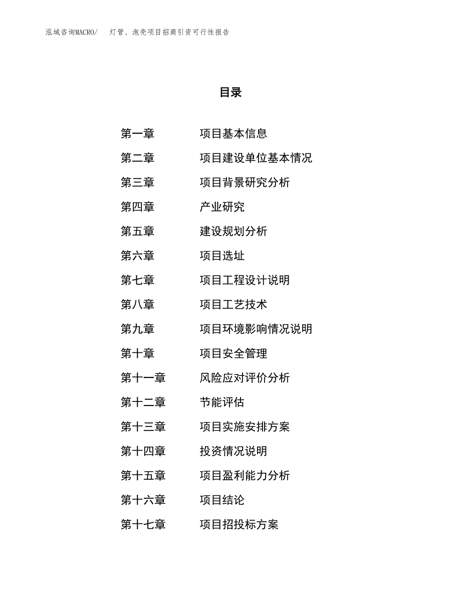 灯管、泡壳项目招商引资可行性报告.docx_第1页