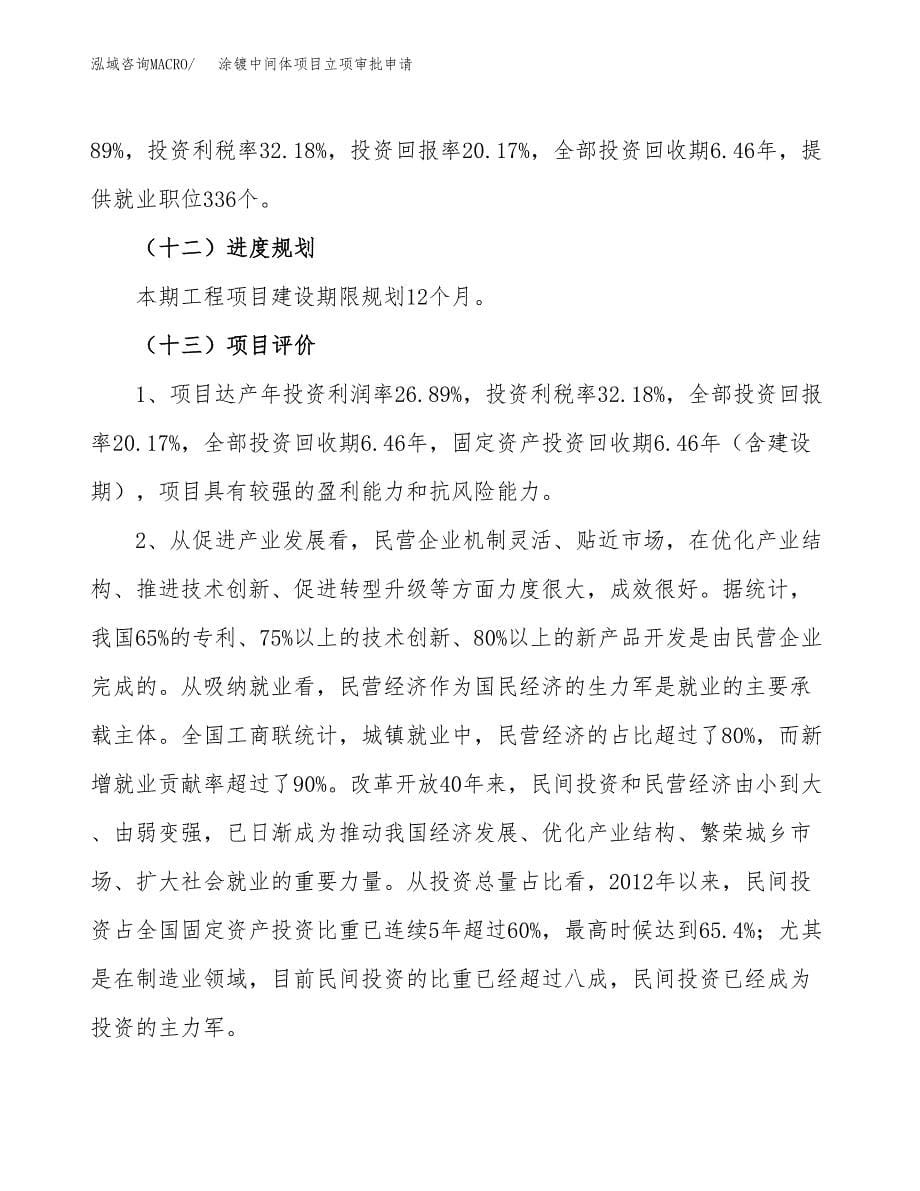 涂镀中间体项目立项审批申请.docx_第5页