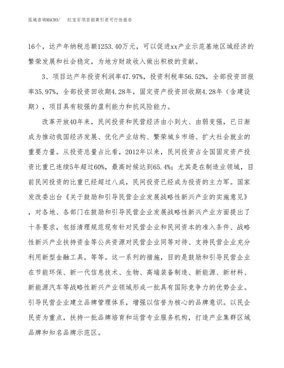 红宝石项目招商引资可行性报告.docx_第5页
