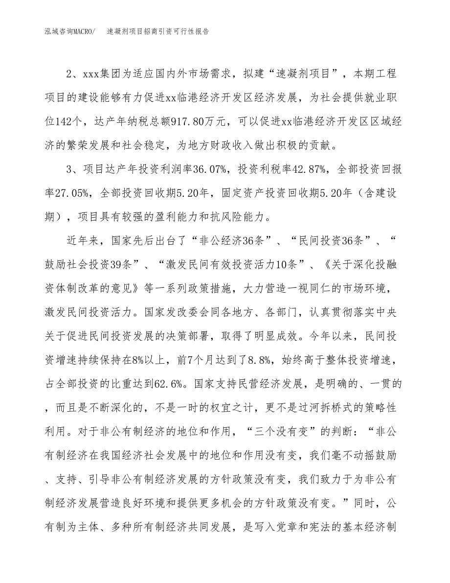 速凝剂项目招商引资可行性报告.docx_第5页