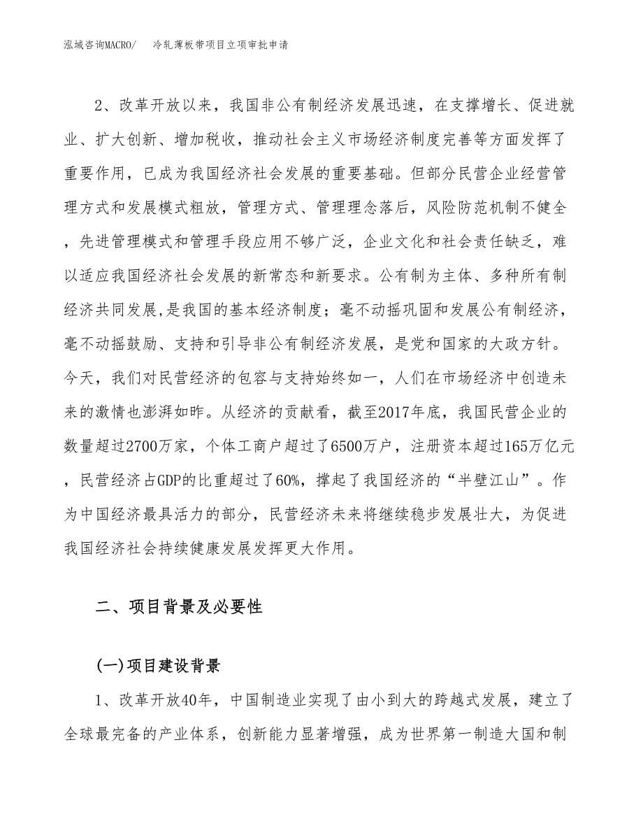 冷轧薄板带项目立项审批申请.docx_第5页