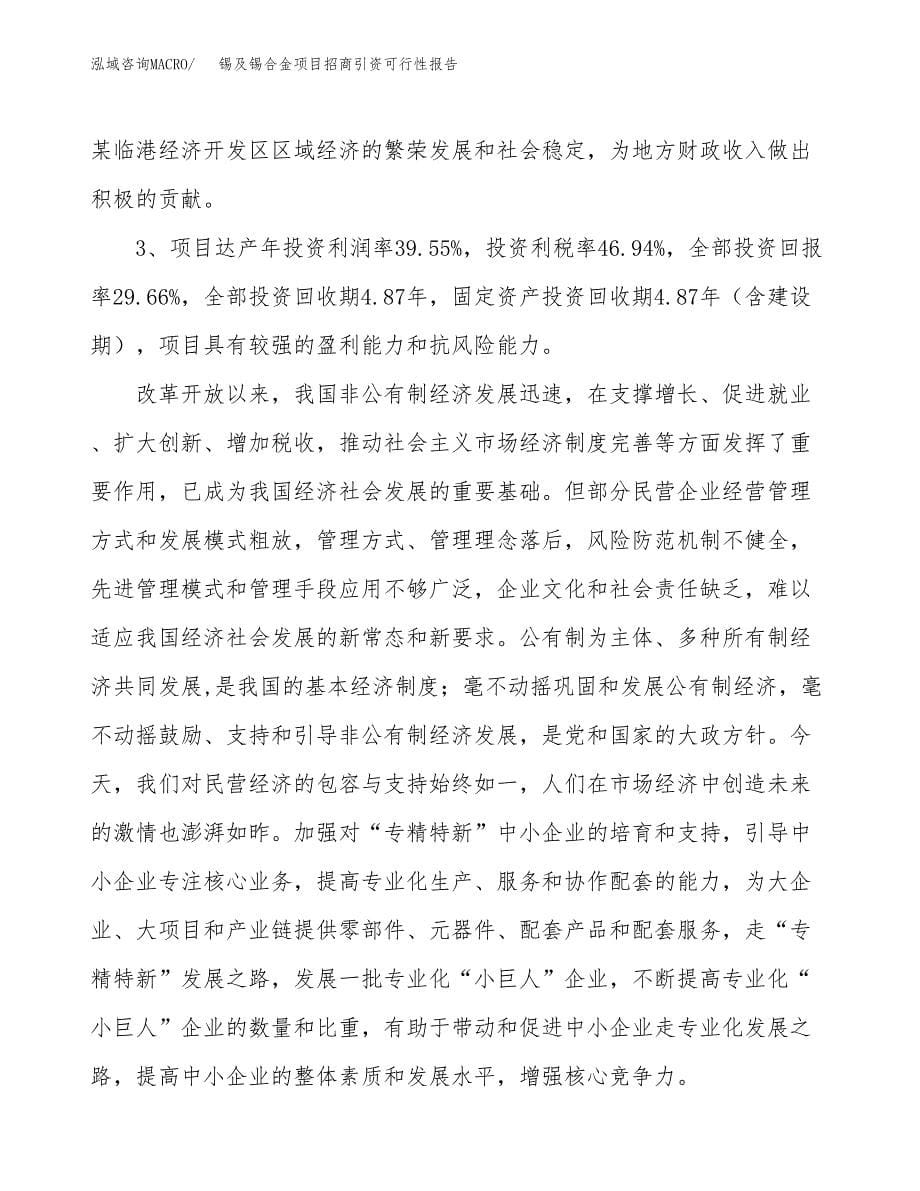 锡及锡合金项目招商引资可行性报告.docx_第5页