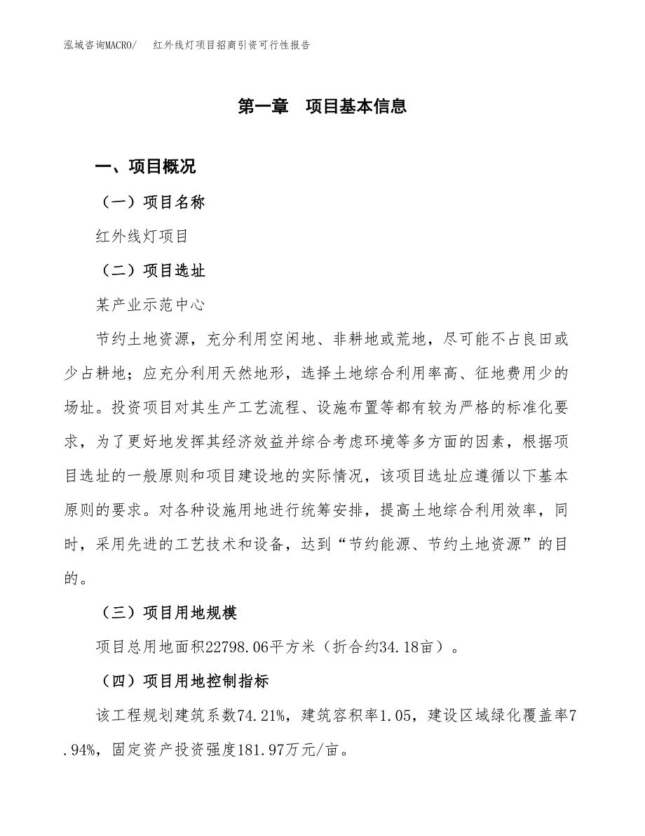 红外线灯项目招商引资可行性报告.docx_第2页