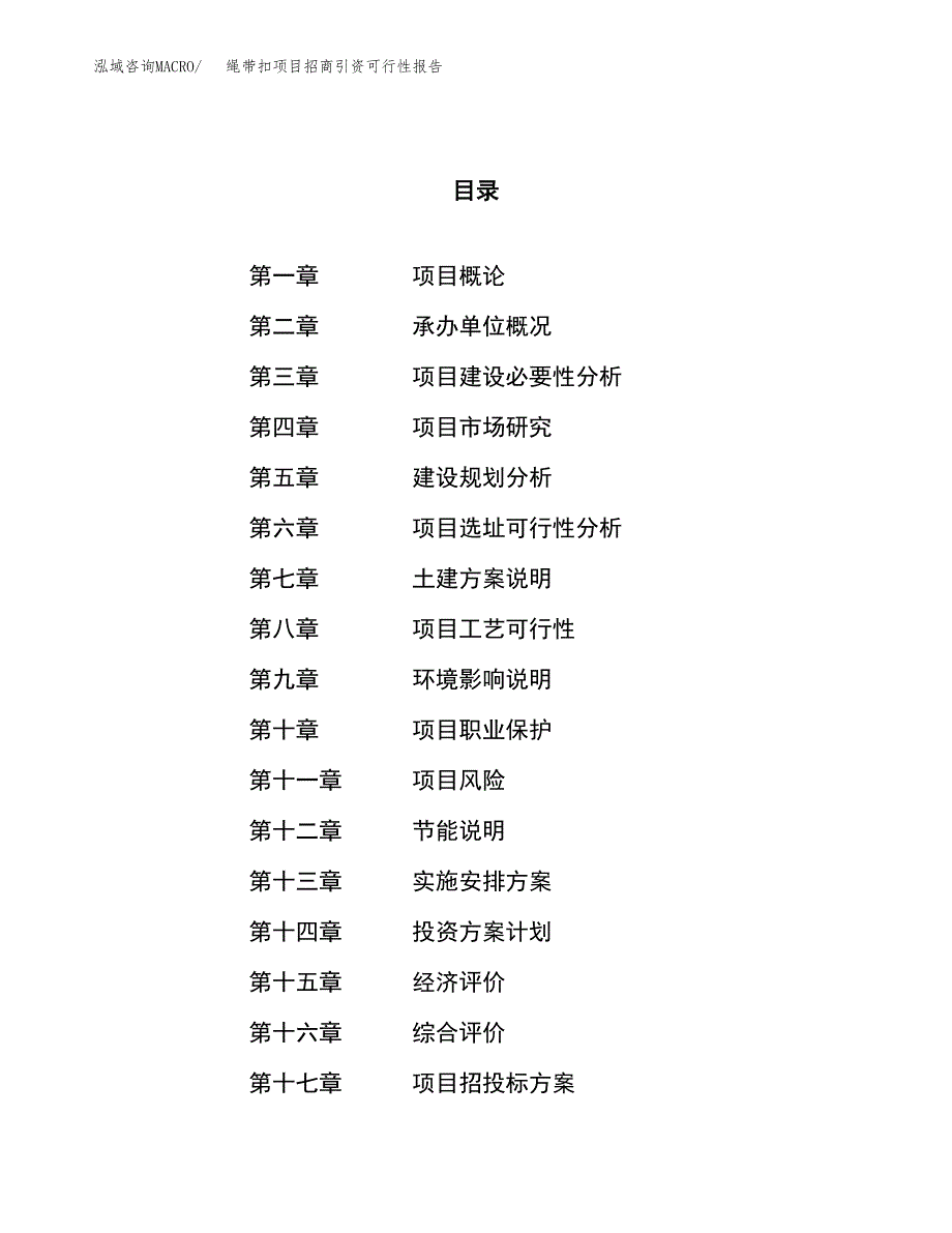 绳带扣项目招商引资可行性报告.docx_第1页