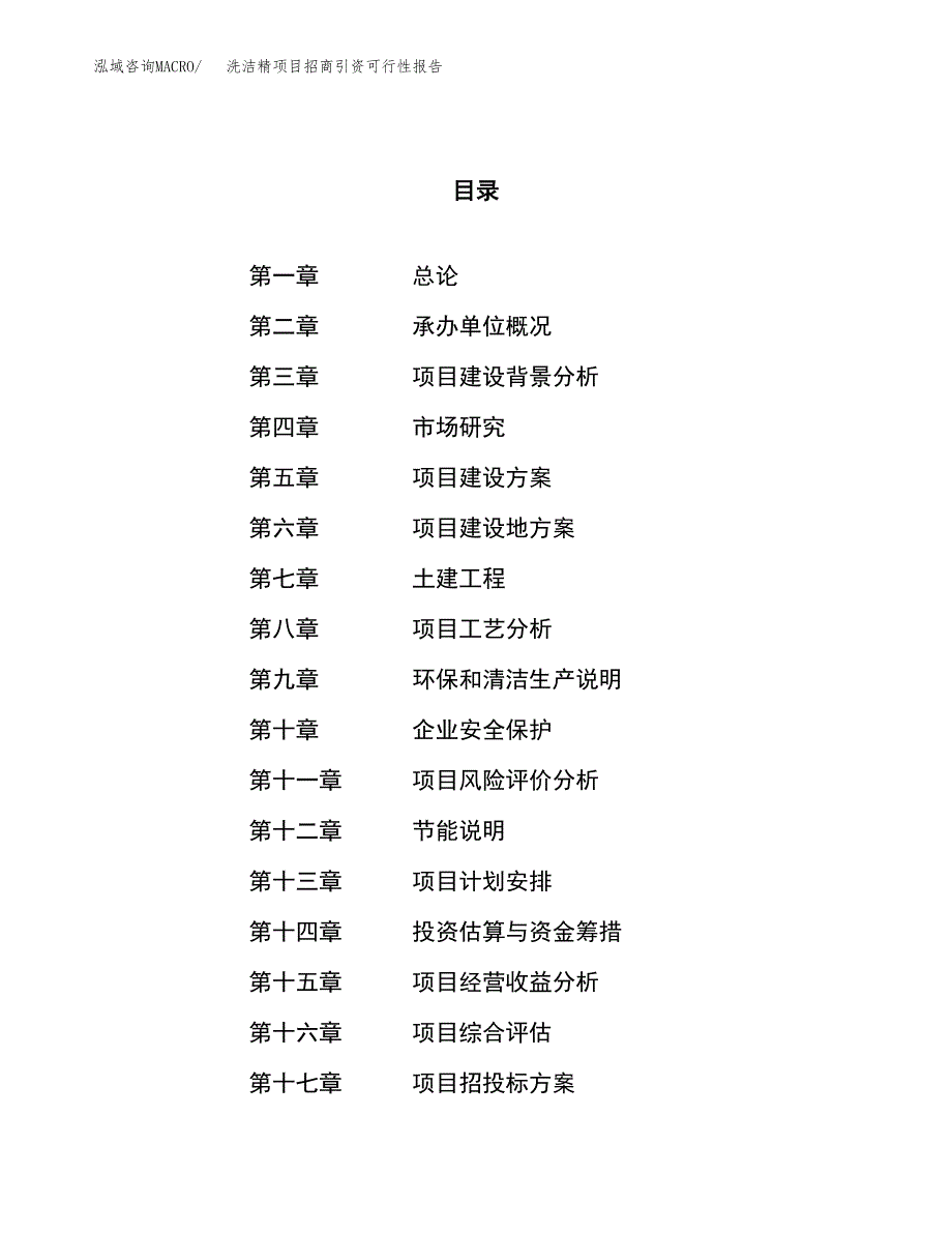 洗洁精项目招商引资可行性报告.docx_第1页