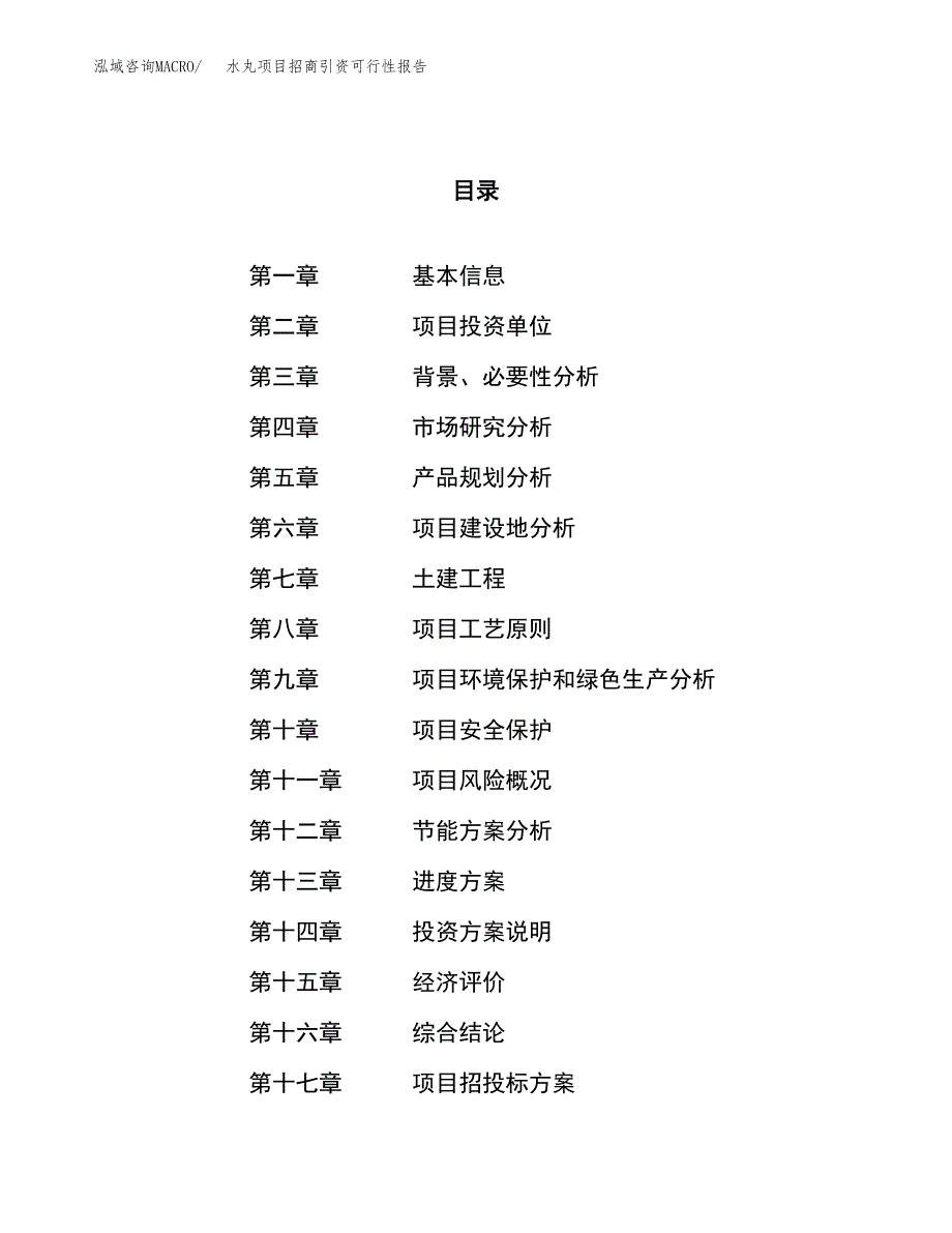 水丸项目招商引资可行性报告.docx_第1页