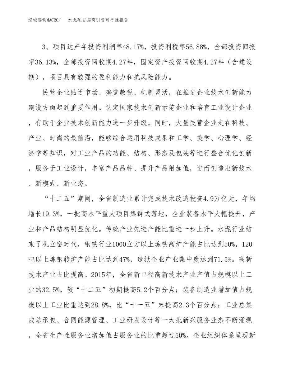 水丸项目招商引资可行性报告.docx_第5页