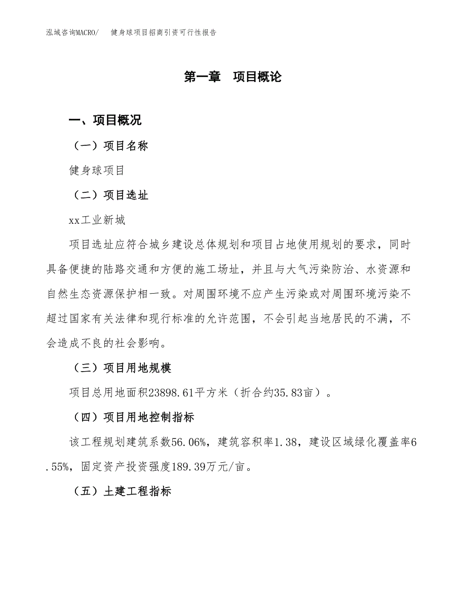 健身球项目招商引资可行性报告.docx_第2页