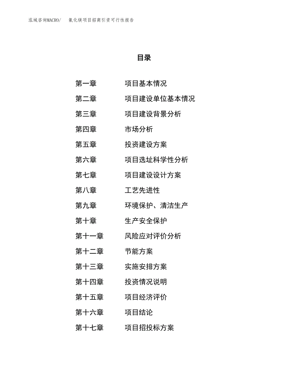 氯化镁项目招商引资可行性报告.docx_第1页