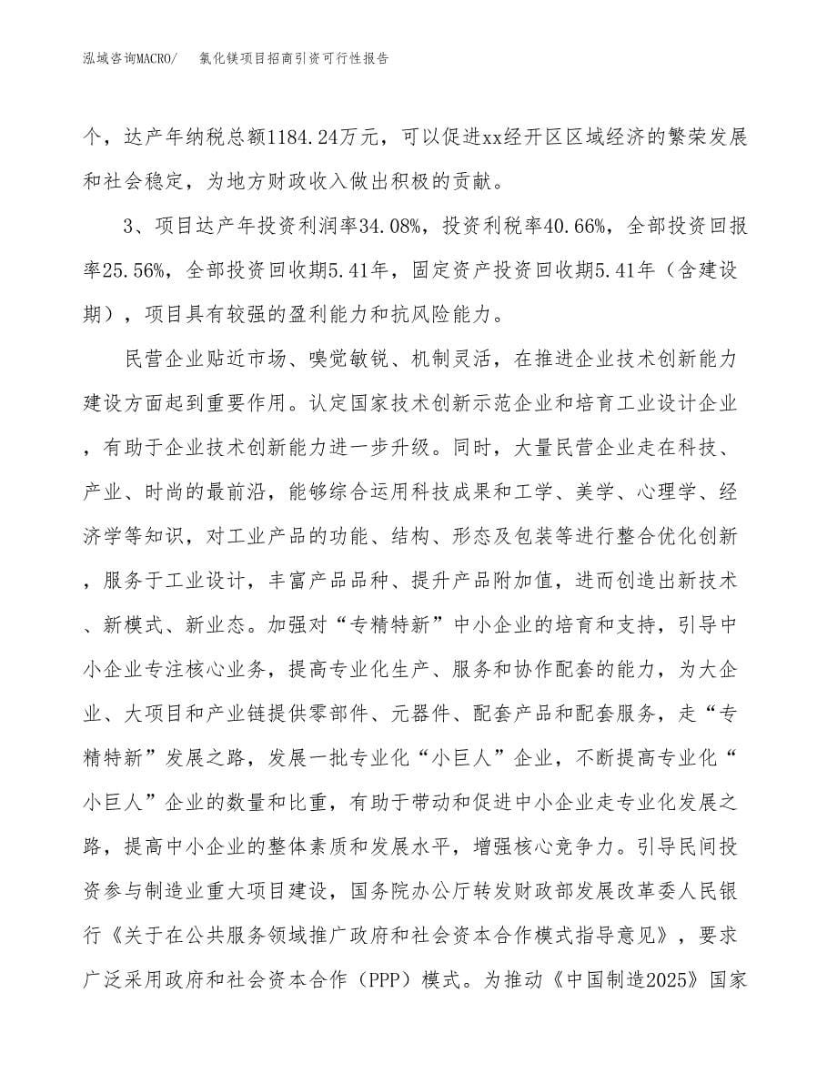 氯化镁项目招商引资可行性报告.docx_第5页