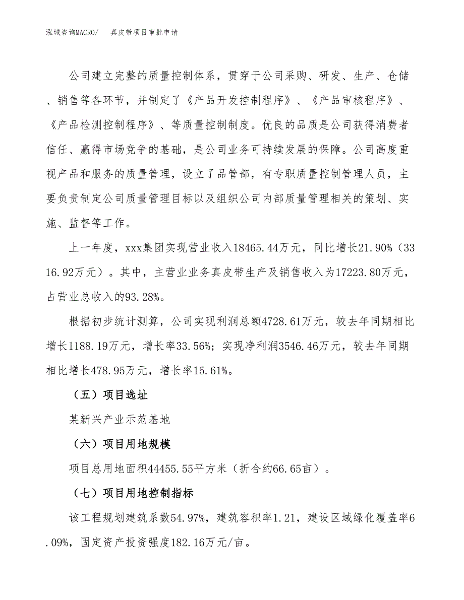 真皮带项目审批申请（总投资15000万元）.docx_第3页