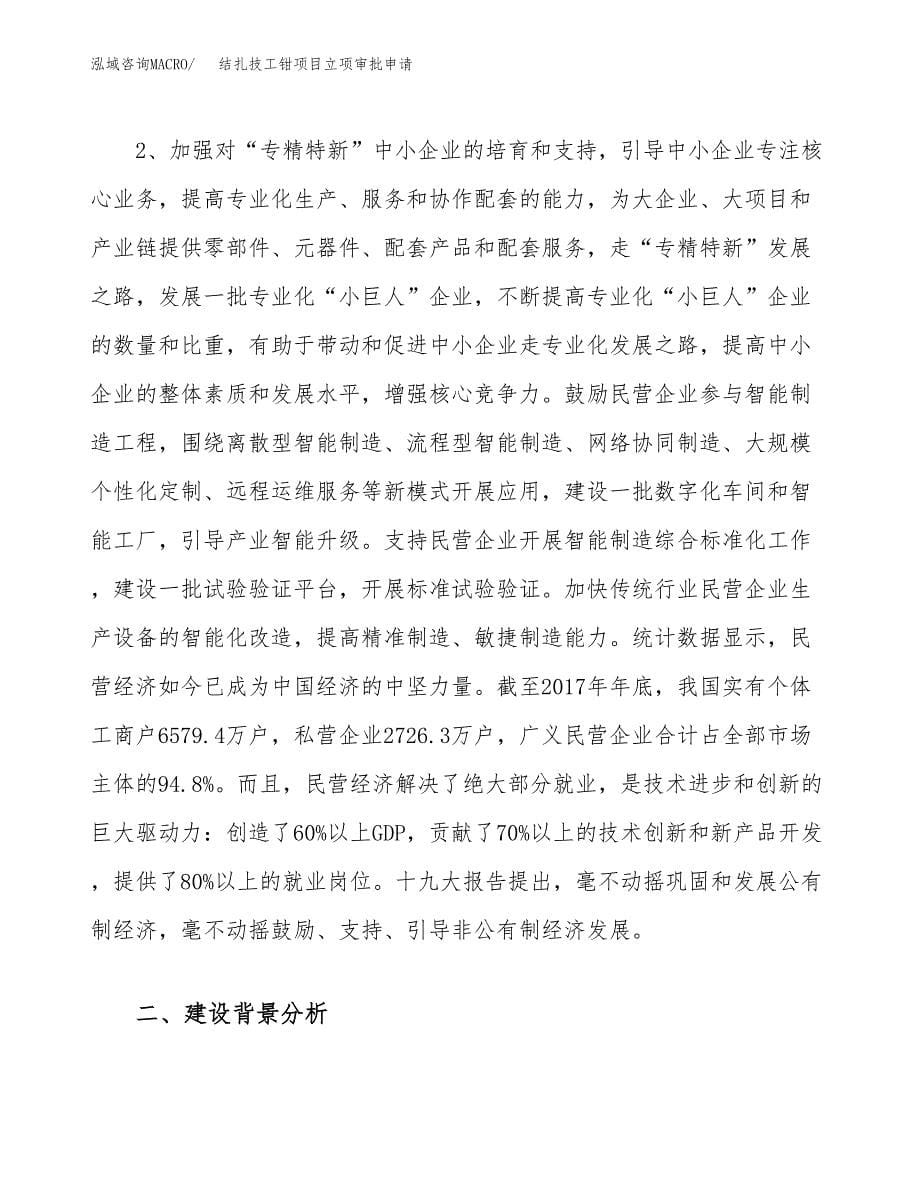 结扎技工钳项目立项审批申请.docx_第5页