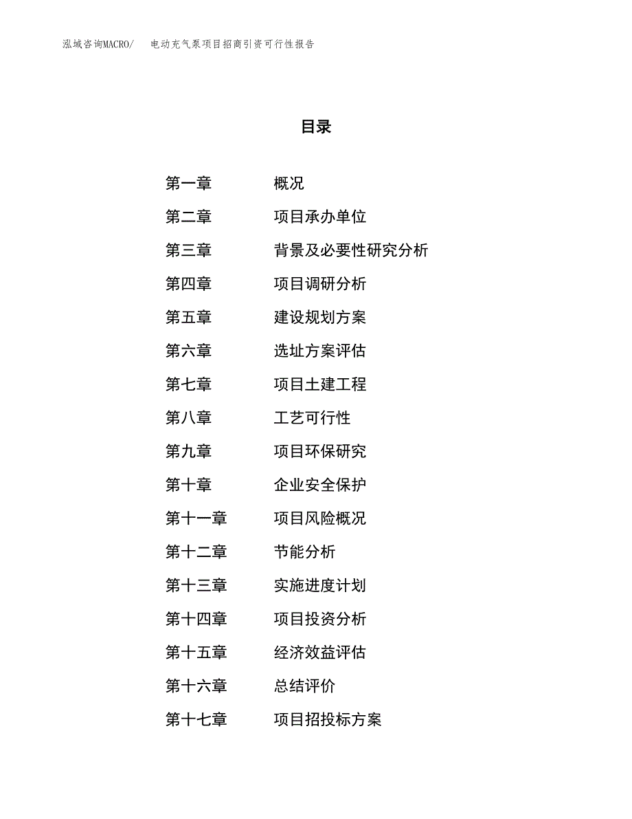 电动充气泵项目招商引资可行性报告.docx_第1页