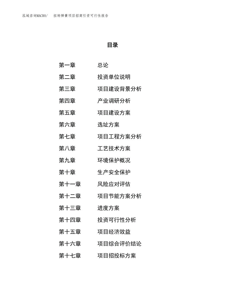 扭转弹簧项目招商引资可行性报告.docx_第1页