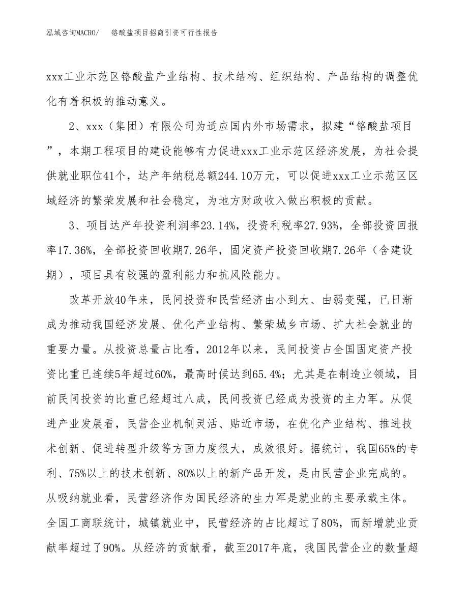 铬酸盐项目招商引资可行性报告.docx_第5页