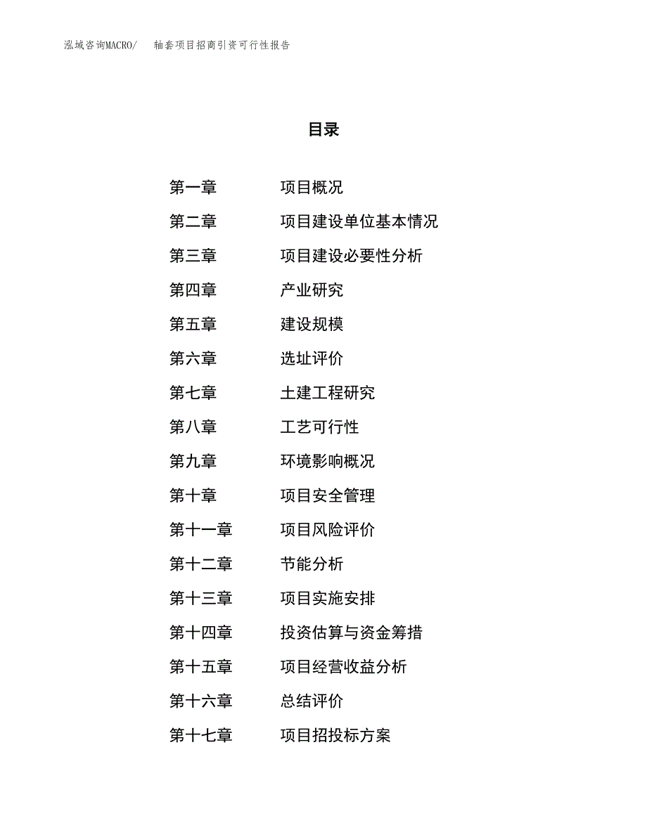 轴套项目招商引资可行性报告.docx_第1页