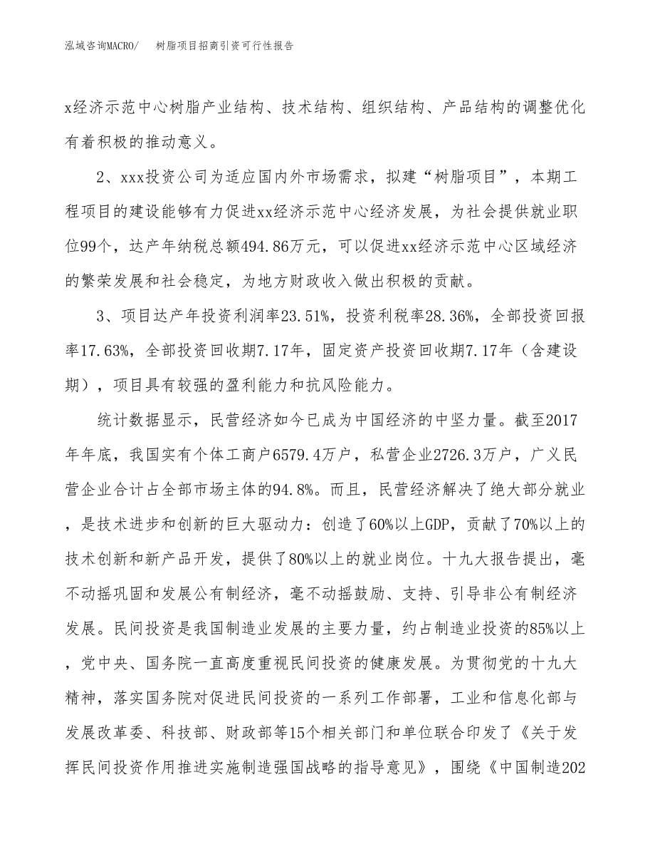 树脂项目招商引资可行性报告.docx_第5页