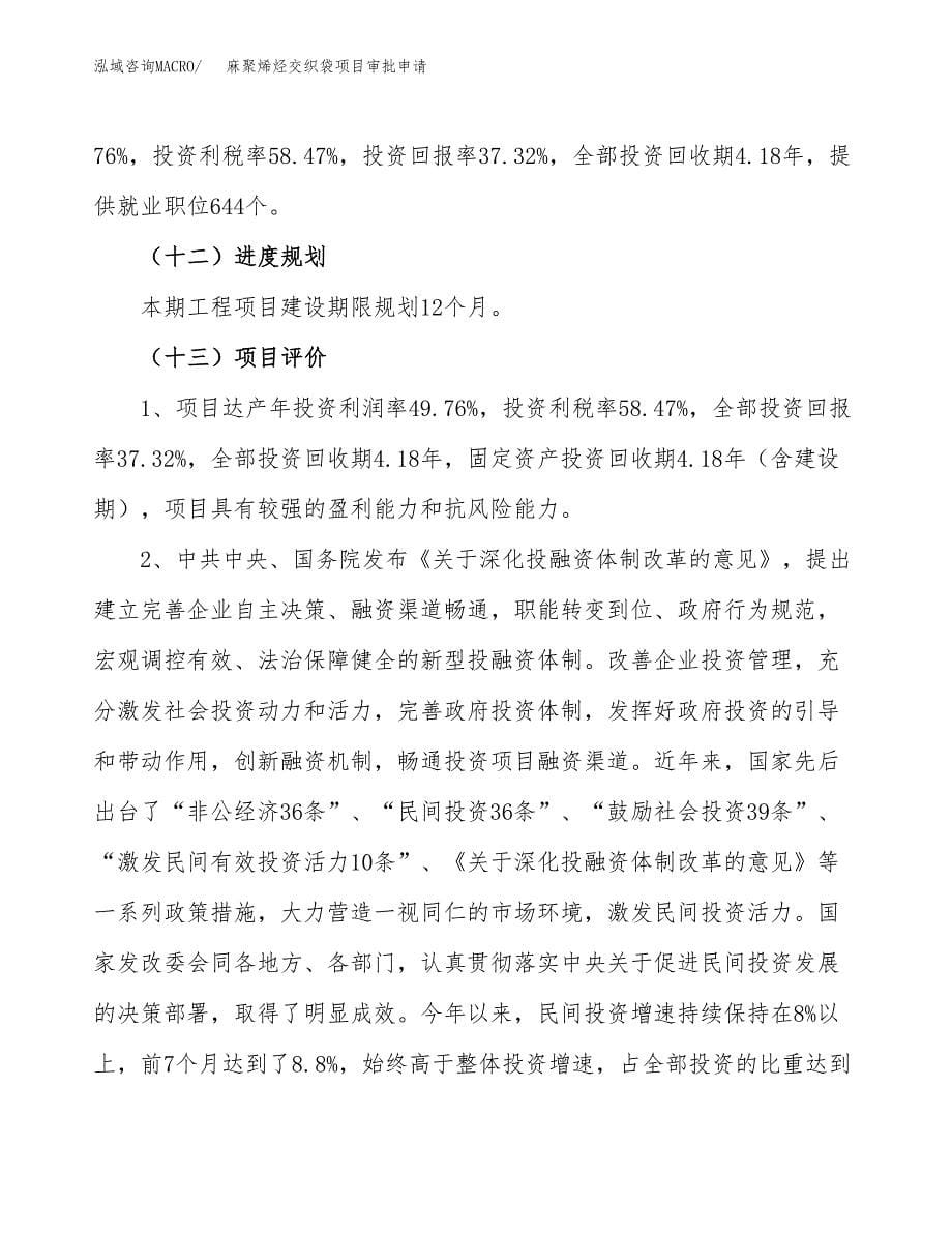 麻聚烯烃交织袋项目审批申请（总投资15000万元）.docx_第5页