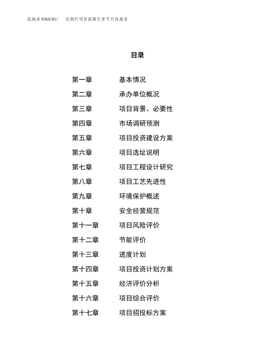 边侧灯项目招商引资可行性报告.docx_第1页