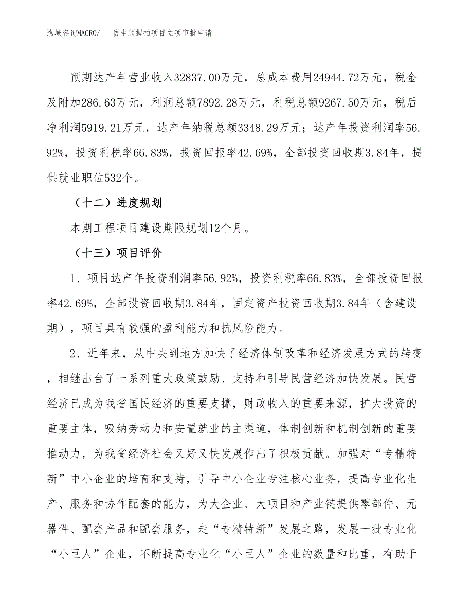 仿生顺握拍项目立项审批申请.docx_第4页