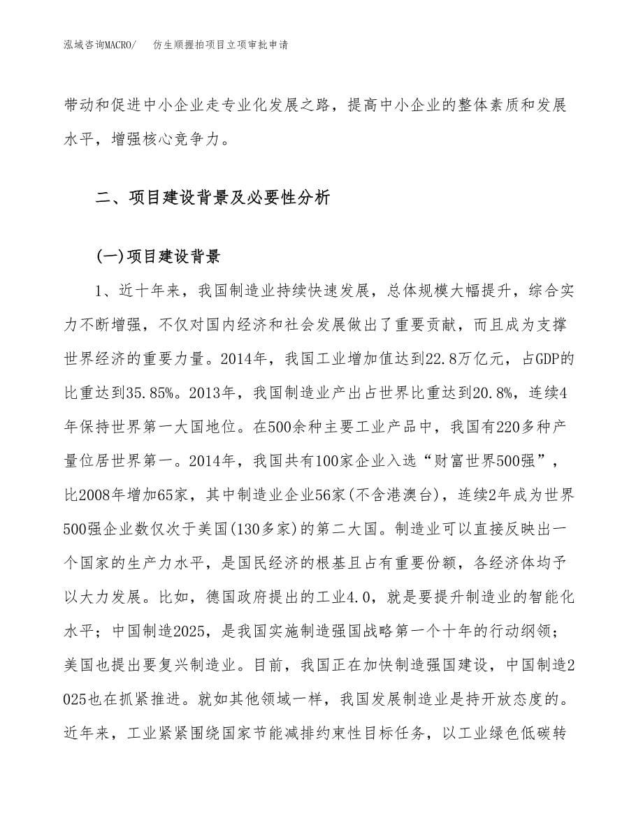 仿生顺握拍项目立项审批申请.docx_第5页