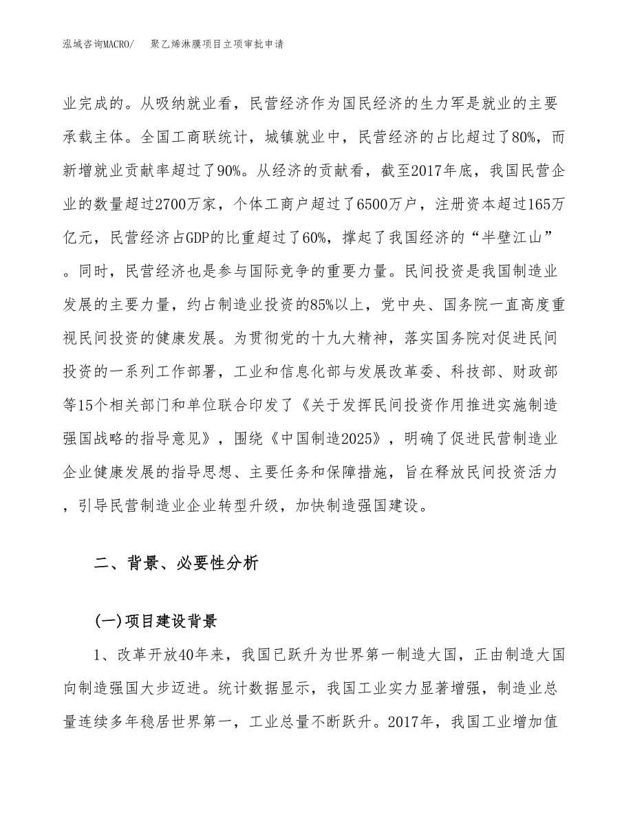 聚乙烯淋膜项目立项审批申请.docx_第5页