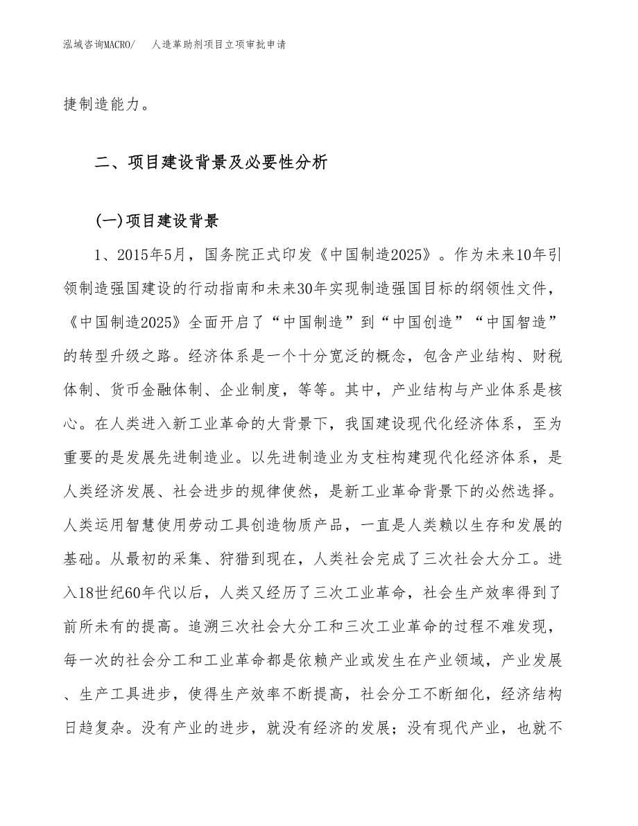 人造革助剂项目立项审批申请.docx_第5页