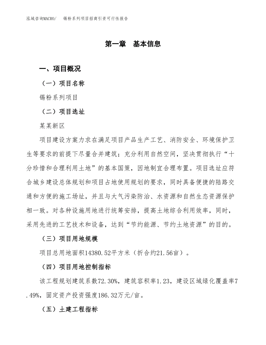 锡粉系列项目招商引资可行性报告.docx_第2页