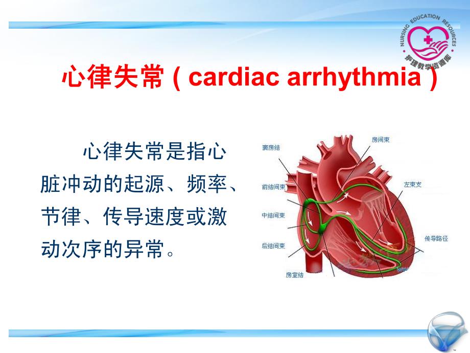 成人护理上册李晶江领群电子教案3-6心律失常_第3页